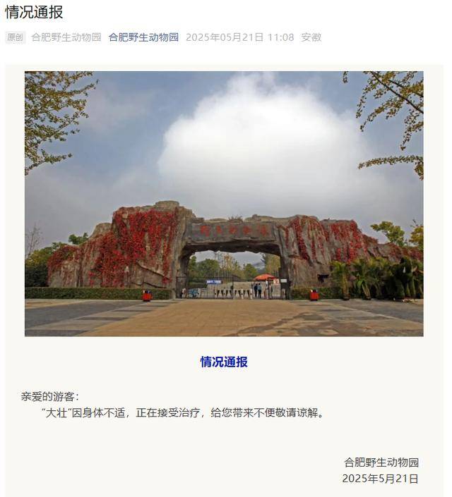 皇冠登3管理出租
_网红猴“大壮”突然离世皇冠登3管理出租
！曾因方脸“丑”出圈