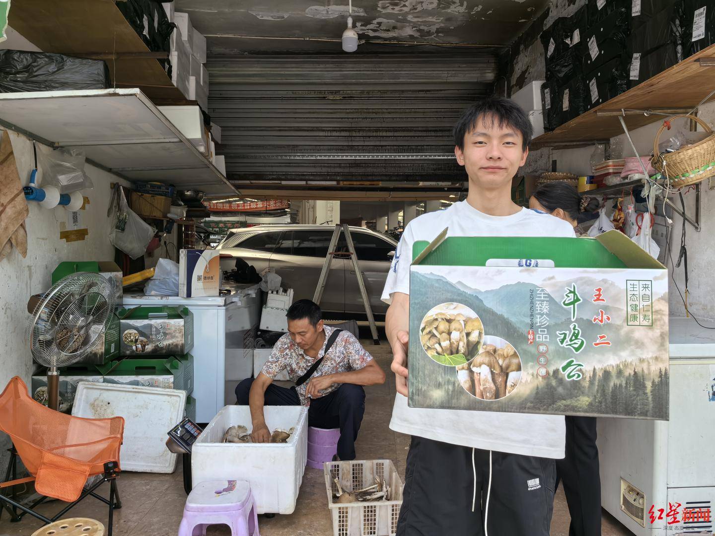 皇冠信用网代理注册
_“天价”鸡枞调查：最贵卖到1800元/公斤！雨水少致产量低皇冠信用网代理注册
，多地价高客少