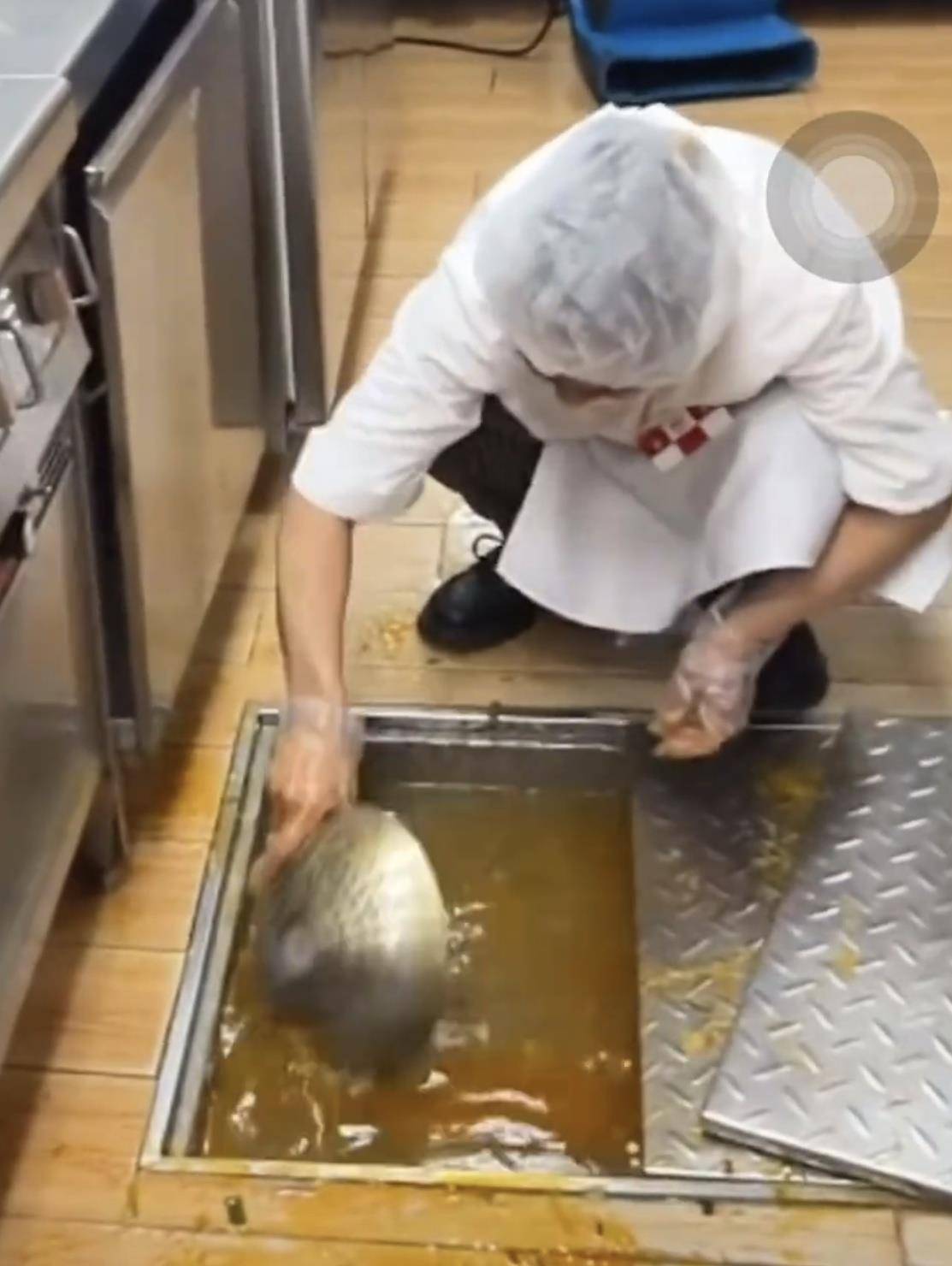 白俄罗斯超级联赛_西贝员工用漏勺疏通厨房下水道引质疑白俄罗斯超级联赛,锅里有个相似漏勺,客服:工具选用和操作不规范