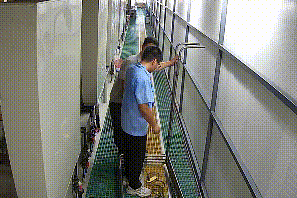 皇冠信用盘会员注册网址
_【关注消防】数十万损失+10日拘留皇冠信用盘会员注册网址
!违规动火的“天价账单”