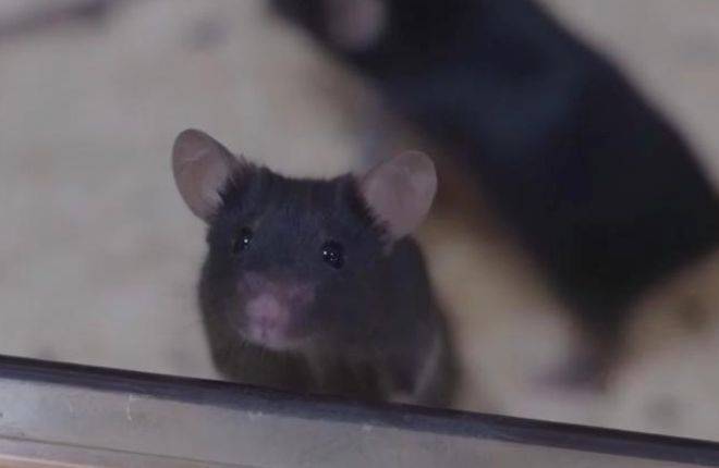 hga035怎么注册账号
_神舟二十一号升空!现在的问题是hga035怎么注册账号
,导师上天了,组会还开吗?