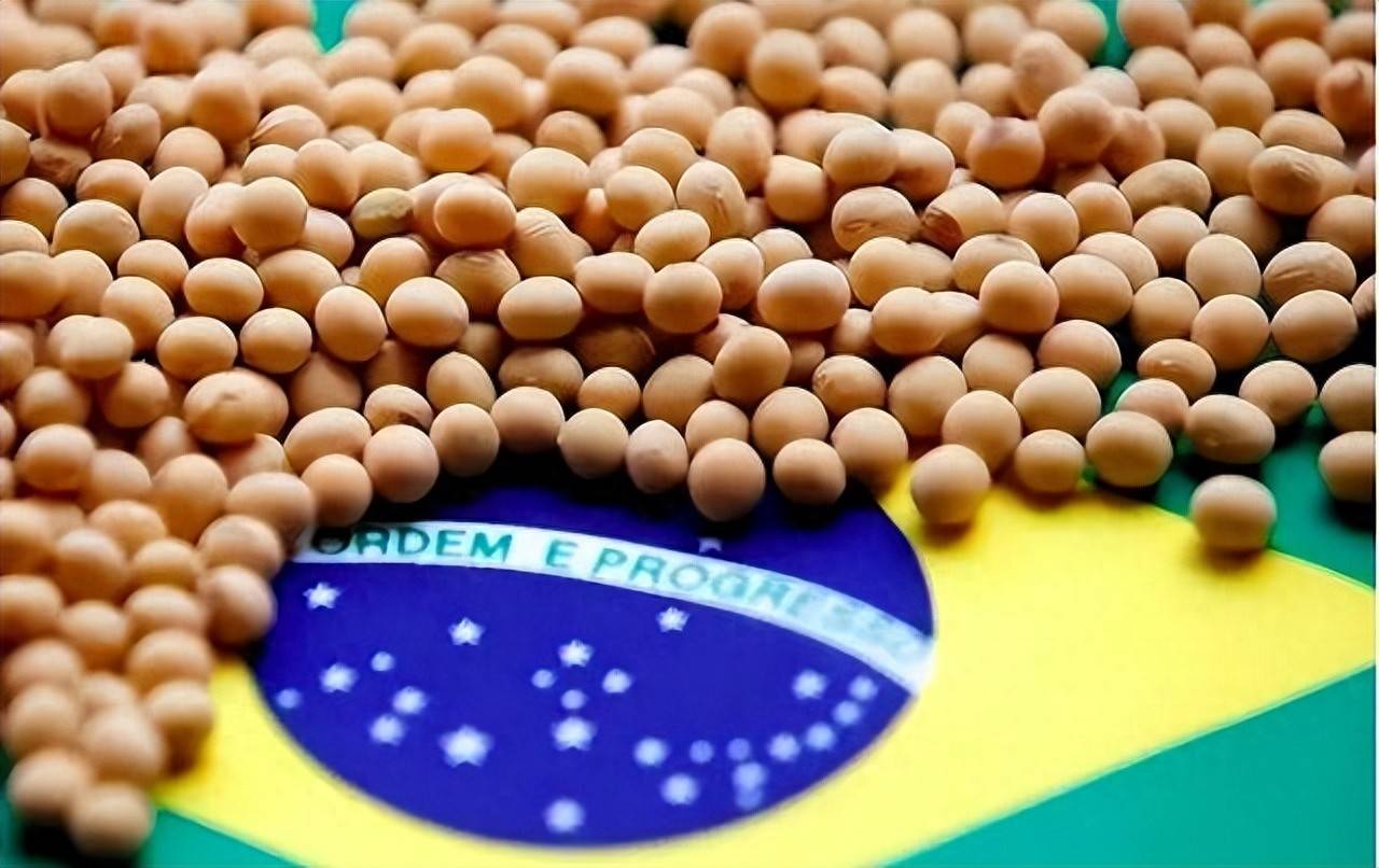 登1登2登3信用盘
_200万吨大豆烂港！巴西主动降价登1登2登3信用盘
，中国转头下单三船美国大豆，巴西自食其果了