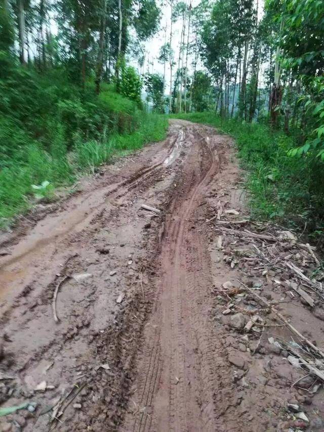 足球代理出租
_四川一村民众筹30万元欲硬化3公里长通村路足球代理出租
，10年间10人去世都未等来动工