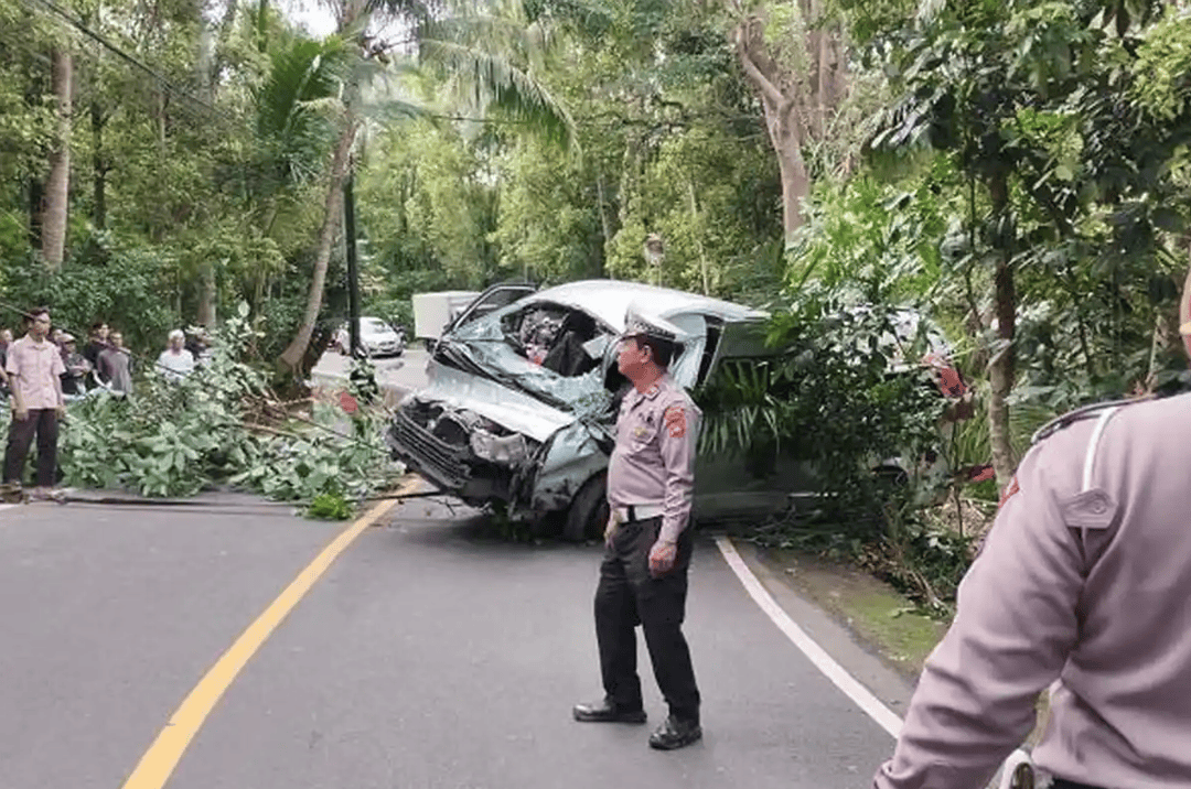 皇冠信用网怎么弄
_印尼巴厘岛一载有13名中国公民汽车坠入山沟 造成5死8伤