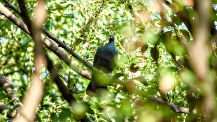 如何代理皇冠信用盘
_百年罕见！首次在上海被目击如何代理皇冠信用盘
，有人专门从北京“打飞的”赶来