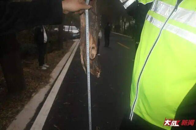 皇冠信用盘怎么弄
_陕西兴平56岁女教师骑电动车“撞树枝”身亡皇冠信用盘怎么弄
，交警判定担主责，家属提出诸多质疑，多方回应