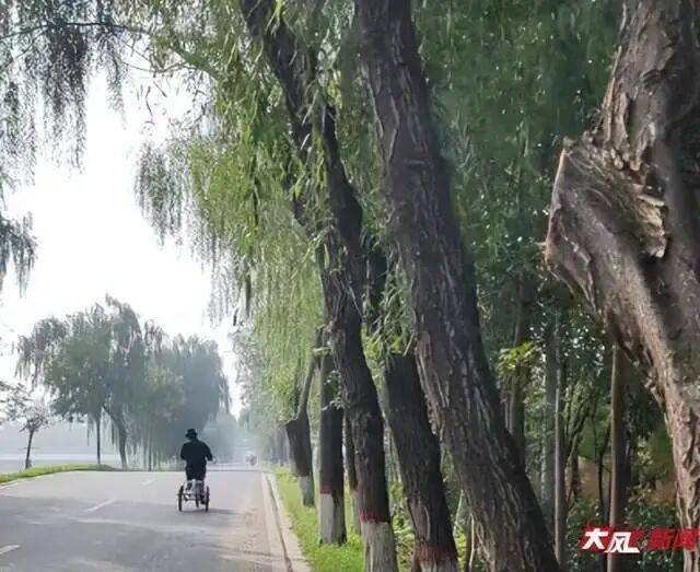 皇冠信用盘怎么弄
_陕西兴平56岁女教师骑电动车“撞树枝”身亡皇冠信用盘怎么弄
，交警判定担主责，家属提出诸多质疑，多方回应