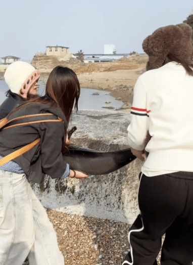 皇冠信用盘网址
_女大学生在大连海边拍摄素材皇冠信用盘网址
,却意外发现已死亡的它