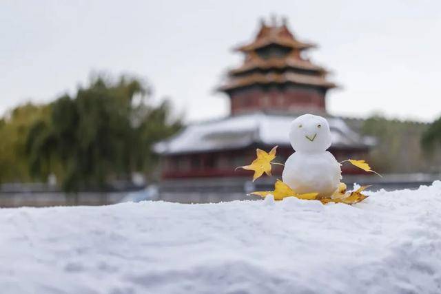 埃及足球
_北京周五的雪“稳”了!大部中雪、局地暴雪埃及足球
,但故宫周六的票约满了……