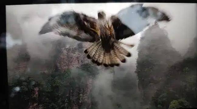 皇冠登2代理_土耳其老鹰空中抓走无人机皇冠登2代理，带上山顶“玩自拍”