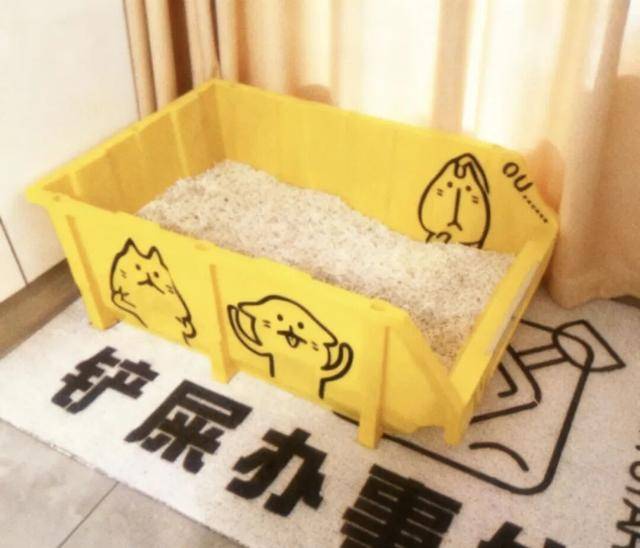 邓迪vs邓迪联_AI养宠神器邓迪vs邓迪联，收割年轻人